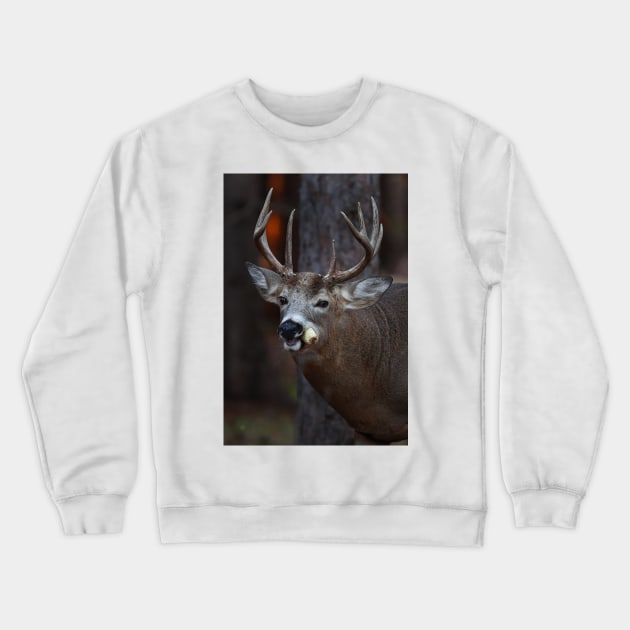 Gotta love corn - White-tailed Deer Crewneck Sweatshirt by Jim Cumming